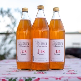Jus de Pomme à cidre - Ferme des Noés (Normandie)