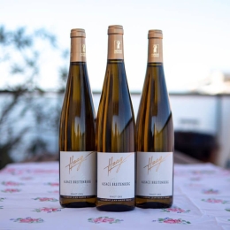 Pinot Gris Lieu-dit Breitenberg - Domaine Haag