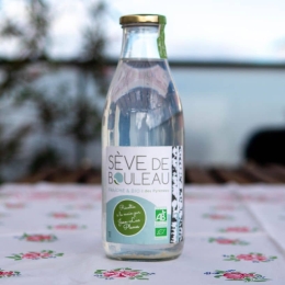 Sève de Bouleau bio pasteurisée du Pays Catalan