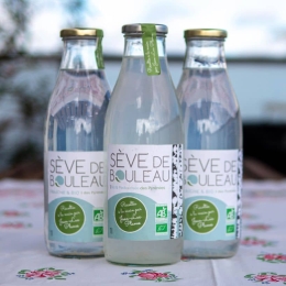 Sève de Bouleau bio pasteurisée du Pays Catalan