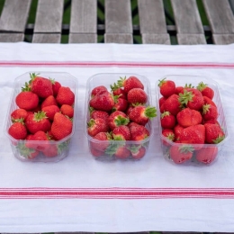 Fraises Pleine Terre du Vexin