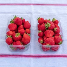 Fraises Pleine Terre du Vexin