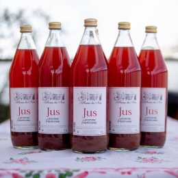 Jus de Pomme à cidre Framboise - Ferme des Noés (Normandie)