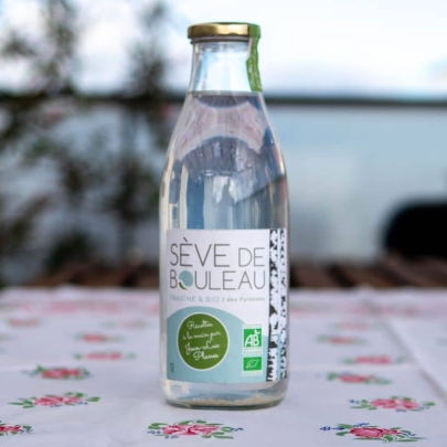 Sève de Bouleau bio pasteurisée du Pays Catalan