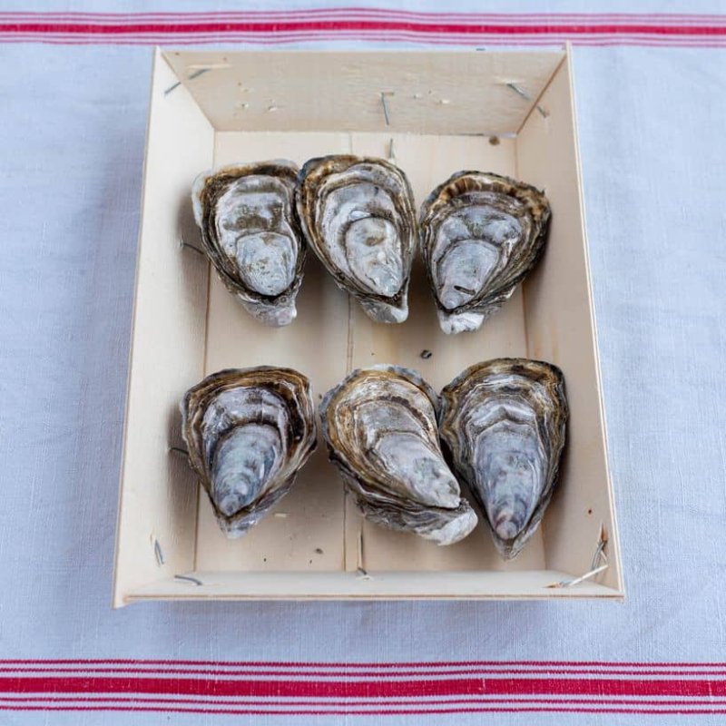 Huîtres Spéciales Normandes de Saint-Vaast