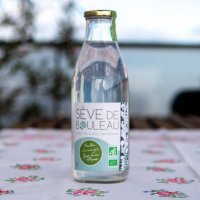 Sève de Bouleau bio pasteurisée du Pays Catalan