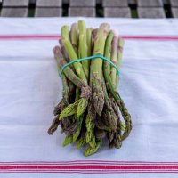 Asperges Vertes pleine terre du Vexin