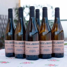 MUSCADET - CLOS de la MARINE Vieilli en fût de chêne - Château de Rochefort