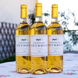 Cadillac Bordeaux blanc liquoreux - Château Peybrun