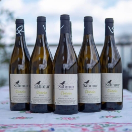 Saumur Blanc - Chenin - Les Ruaults