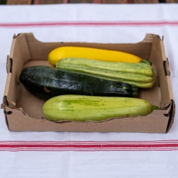 Courgettes de Meudon