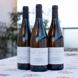 MUSCADET Sèvre et Maine sur Lie - Château de Rochefort